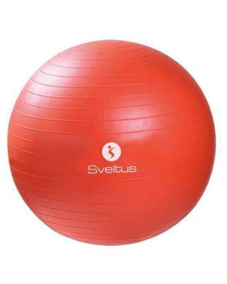 Fitball cm 55
