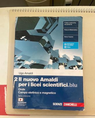 Il nuovo Amaldi per i licei scientifici blu 2