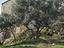 Immagine 9