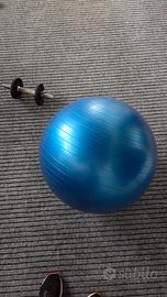fitball