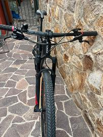 Mtb focus raven