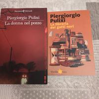 Romanzi Piergiorgio Pulixi 