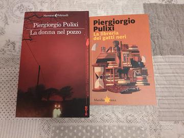 Romanzi Piergiorgio Pulixi 