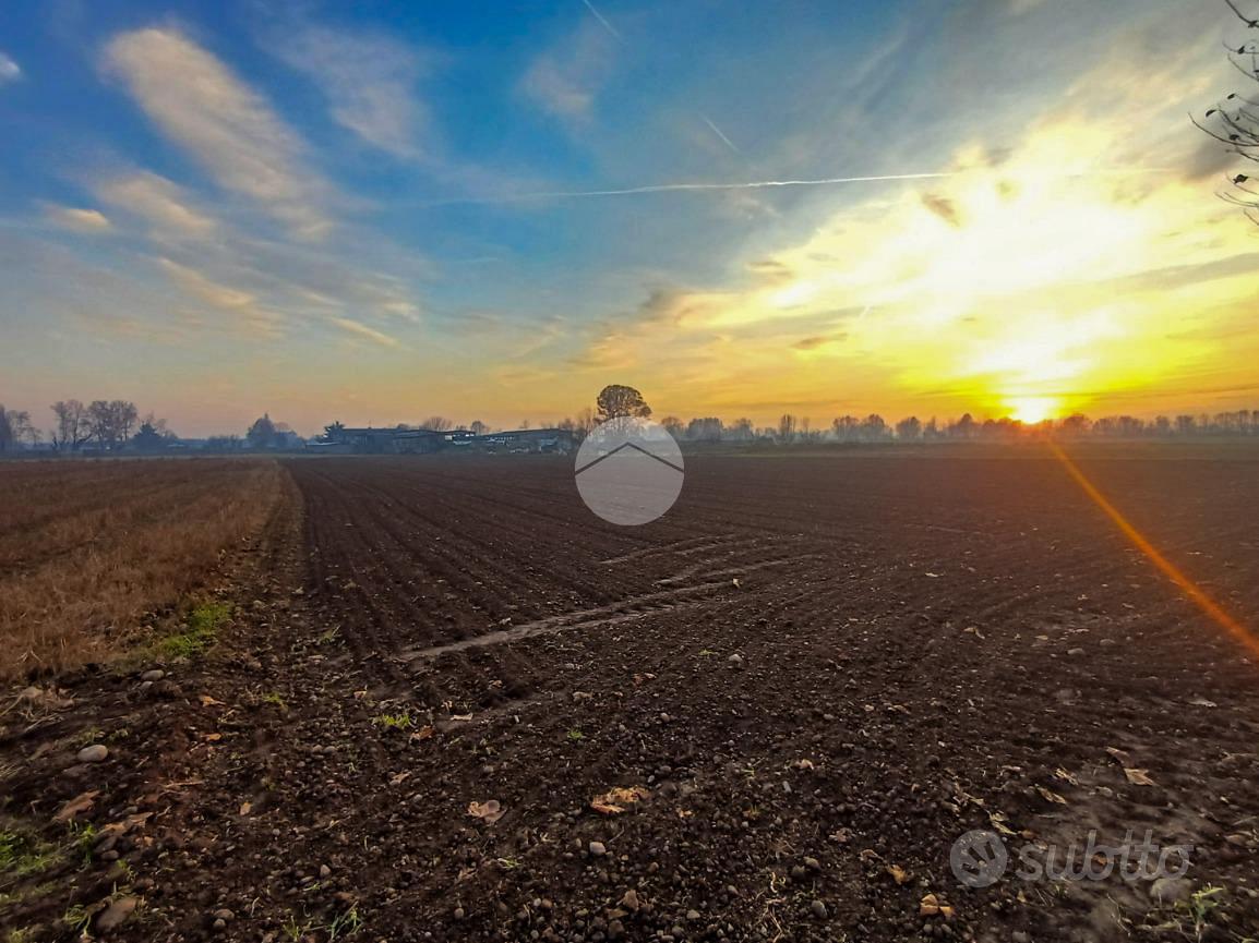 TER. AGRICOLO A CARAVAGGIO - Vista 5