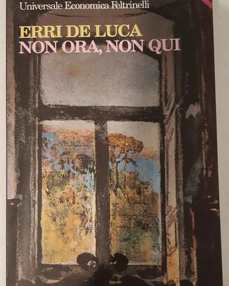 Non ora, non qui 