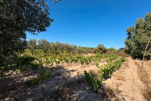 Terreno Edificabile a 500 metri dal Mare