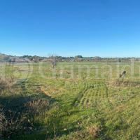 Terreno Agricolo Gallipoli [Cod. rif 3181368VCG]