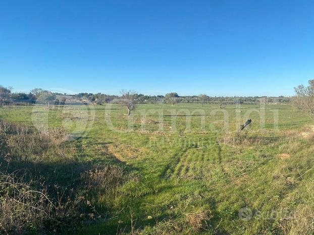 Terreno Agricolo Gallipoli [Cod. rif 3181368VCG]