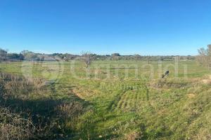 Terreno Agricolo Gallipoli [Cod. rif 3181368VCG]