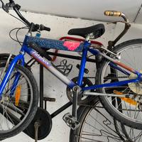 Mtb bambino