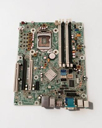 Scheda Madre HP Socket LGA 1155 (Micro-ATX)