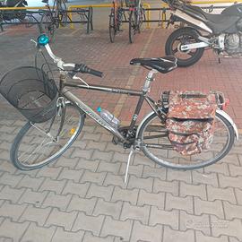 Bicicletta da passeggio