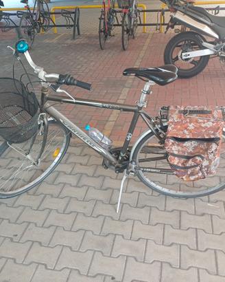 Bicicletta da passeggio