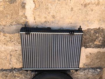 Radiatore acqua Ford Fiesta 1200 benzina Mk6