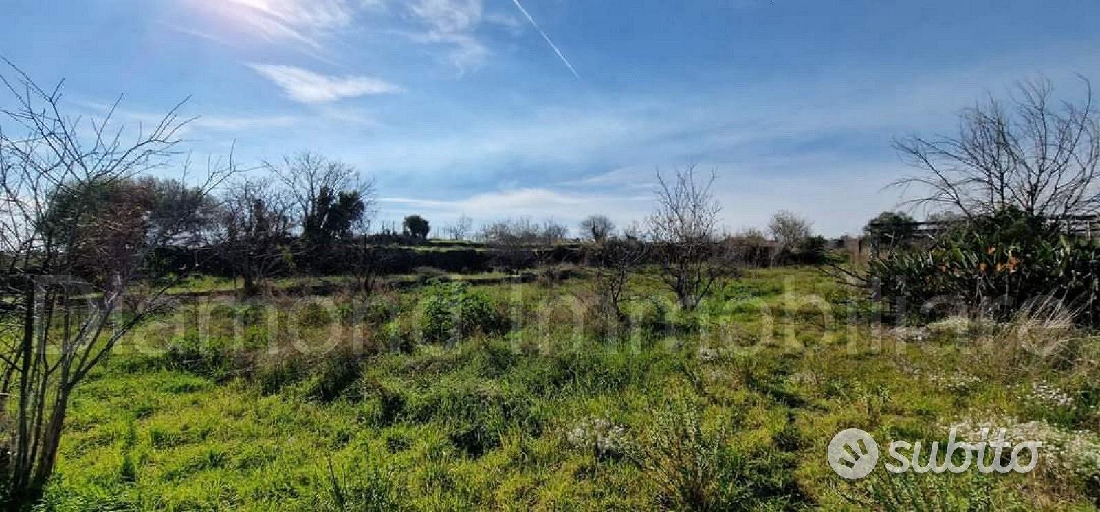 Terreno agricolo parz. edifi San Giovanni la punta - Vista 2