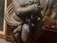 Immagine 2