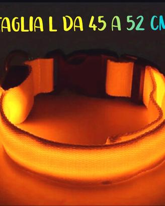 Collare per Cani in nylon con LED Arancione⭐Nuovo⭐