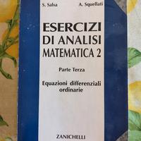 esercizi di analisi matematica2 Salsa Squellati