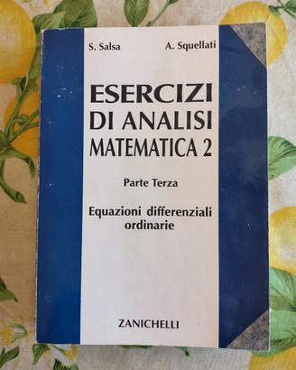 esercizi di analisi matematica2 Salsa Squellati