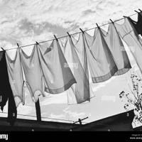 Stiratrice colf, ritiro/riconsegno bucato stirato