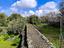 Immagine 14