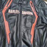 Giubbotto Harley Davidson TG.XL