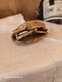scarabeo egizio antico