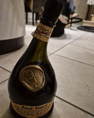 Saint Vivant Armagnac