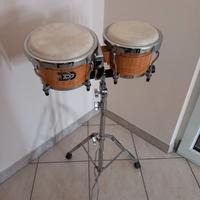 Bongos nuovi