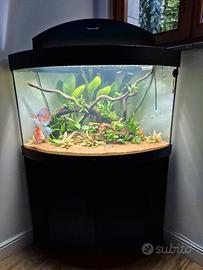 acquario trigon 190