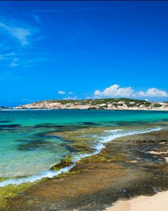 Sa Mesa Longa - Penisola del Sinis