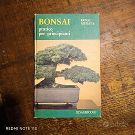bonsai pratico per principianti
