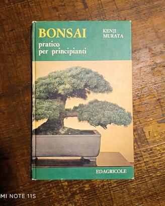 bonsai pratico per principianti