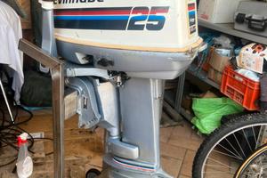 Evinrude 25