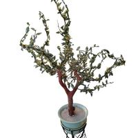 Grande albero in vetro cinese  e giada