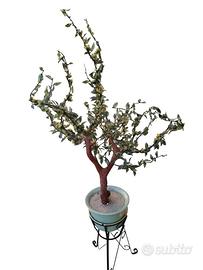 Grande albero in vetro cinese  e giada