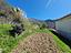 Immagine 25