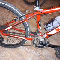 mtb ragazzo misura 24