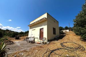 TER. AGRICOLO A BAGHERIA