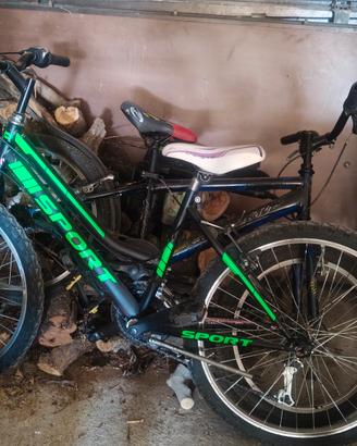 bicicletta 26