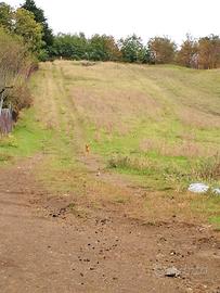 Terreno agricolo