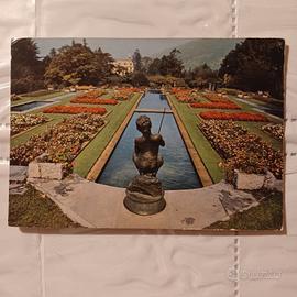 Lotto 3 cartoline d'Italia