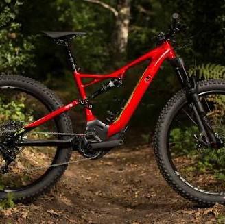 Specialized turbo levo