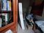 Immagine 14