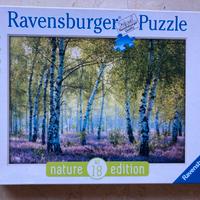 Puzzle bosco di betulle