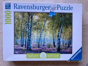 Puzzle bosco di betulle
