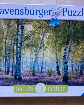 Puzzle 1000 Bosco di betulle