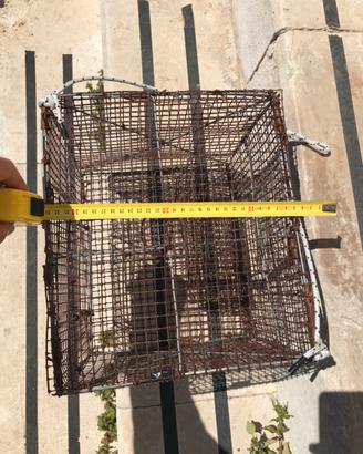 Nassa da pesca per crostacei e pesci-richiudibile