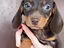 Immagine 7