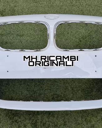 Ricambi Bmw Originali Serie 1 / 2 F20 F22 F23 M Sp